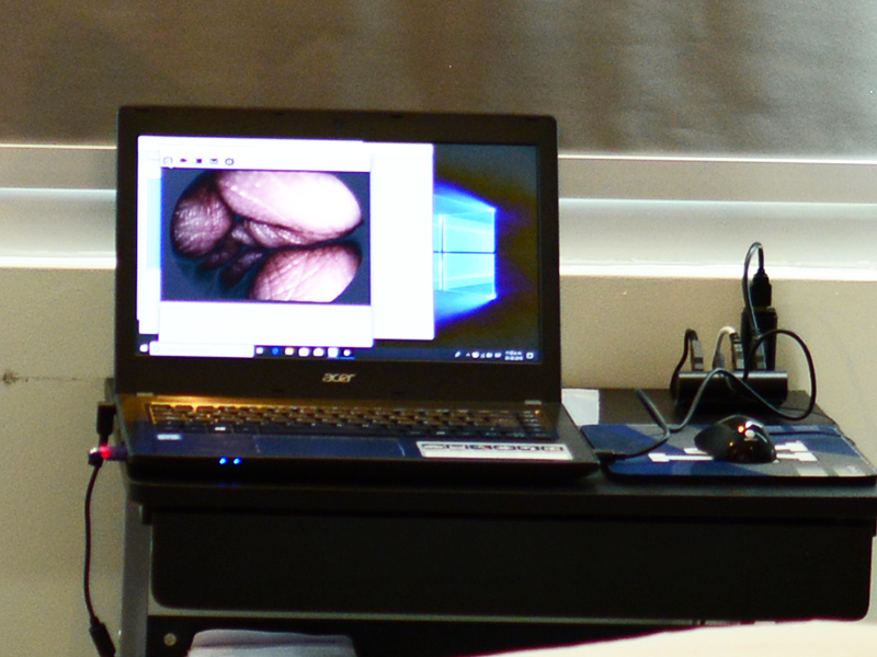 Image capture system and report